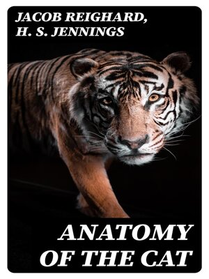 cover image of Anatomy of the Cat